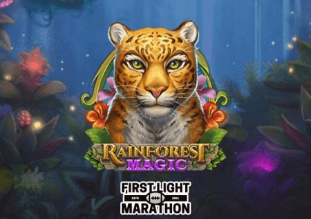 Rainforest Magic Bingo