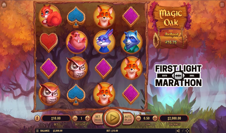 Cách chơi Magic Oak Slot